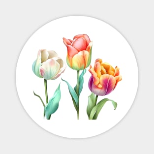 Tulip flowers bouquet Magnet